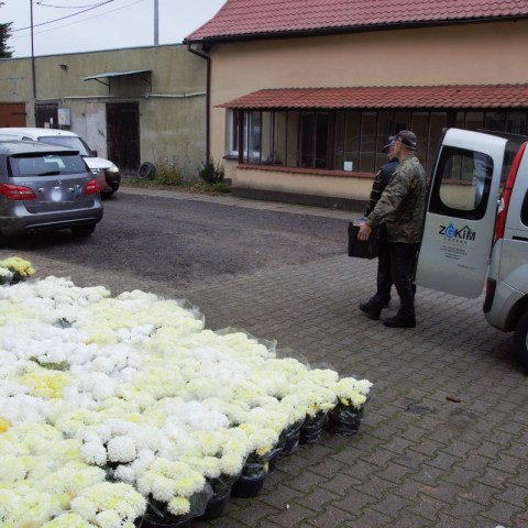 Powiększ obraz: 
