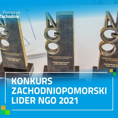 Powiększ obraz: Zachodniopomorski%20Lider%20NGO%202021
